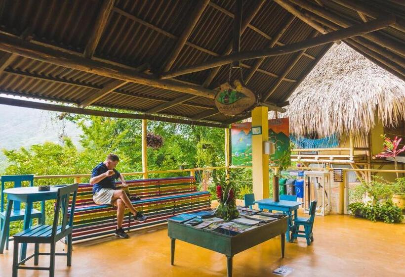 هتل Minca Ecohabs