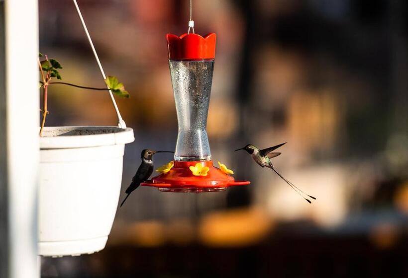 호텔 Palla Boutique