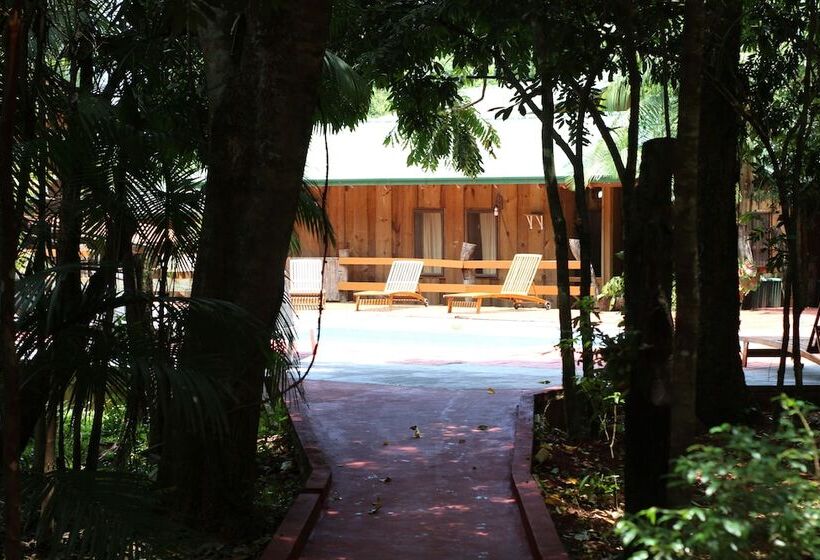 هتل Palo Rosa Lodge