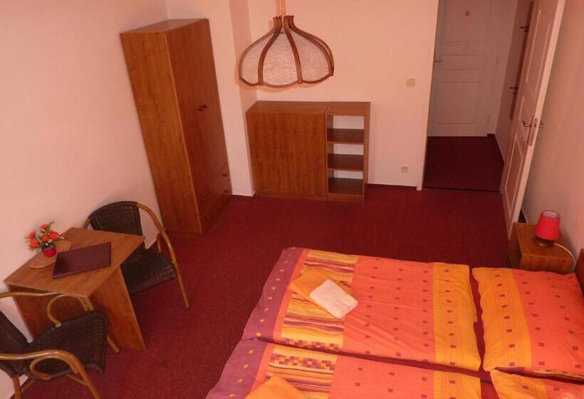 호텔 Pension Borůvka