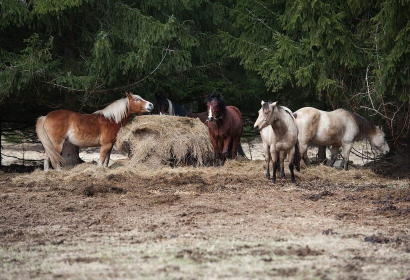 호텔 Penzion Farma U Mauritzů