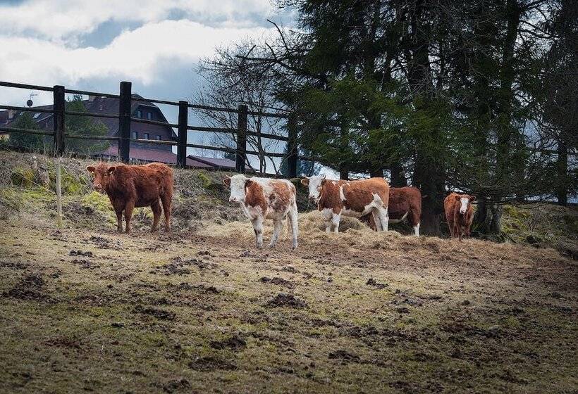 호텔 Penzion Farma U Mauritzů