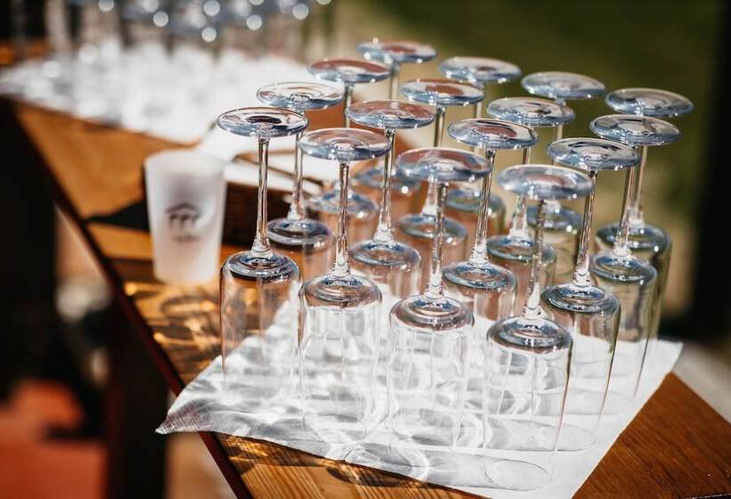 Quinta D Anta  Hotel Rural