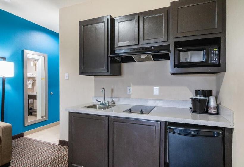 בית מלון כפרי Residency Suites