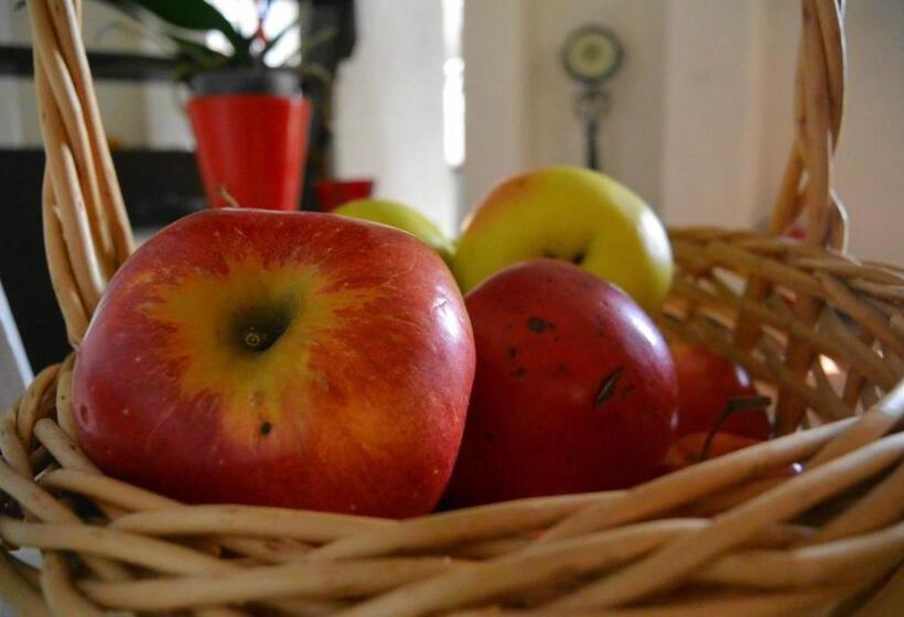 Отель Residenza Dutzu Boutique