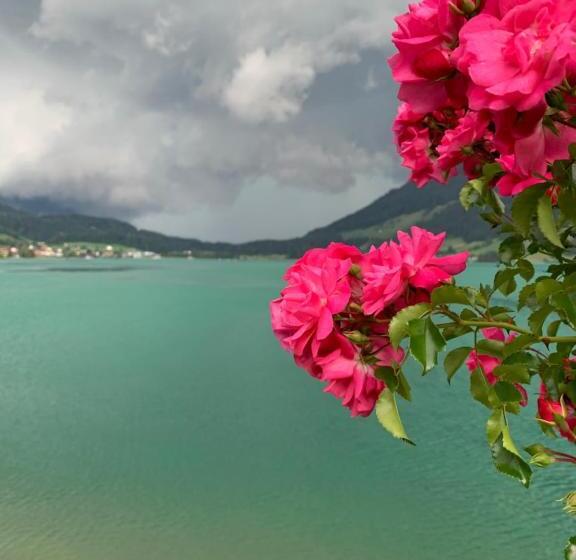 Отель Restaurant Eierhals Am ägerisee