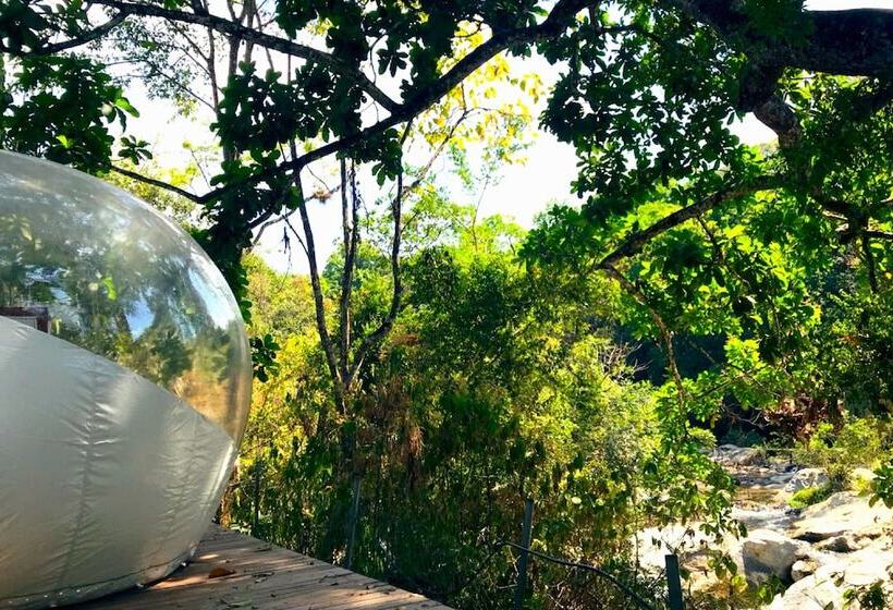 Sweet Harmony Hotel Boutique By Xarm Hotels