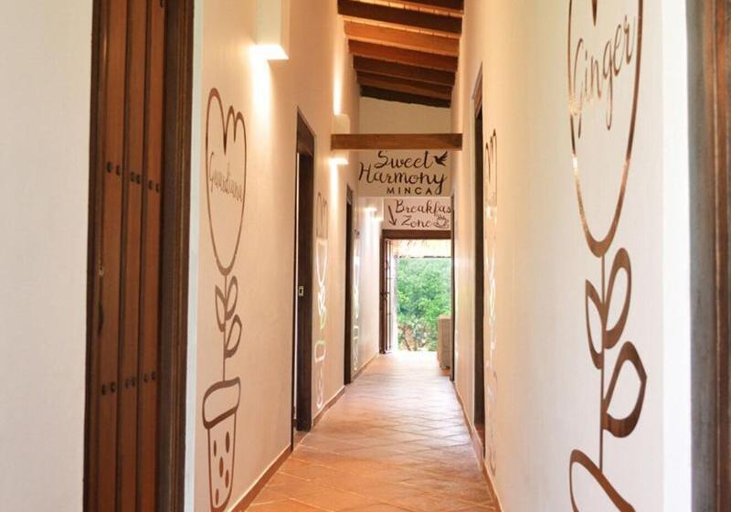 Sweet Harmony Hotel Boutique By Xarm Hotels