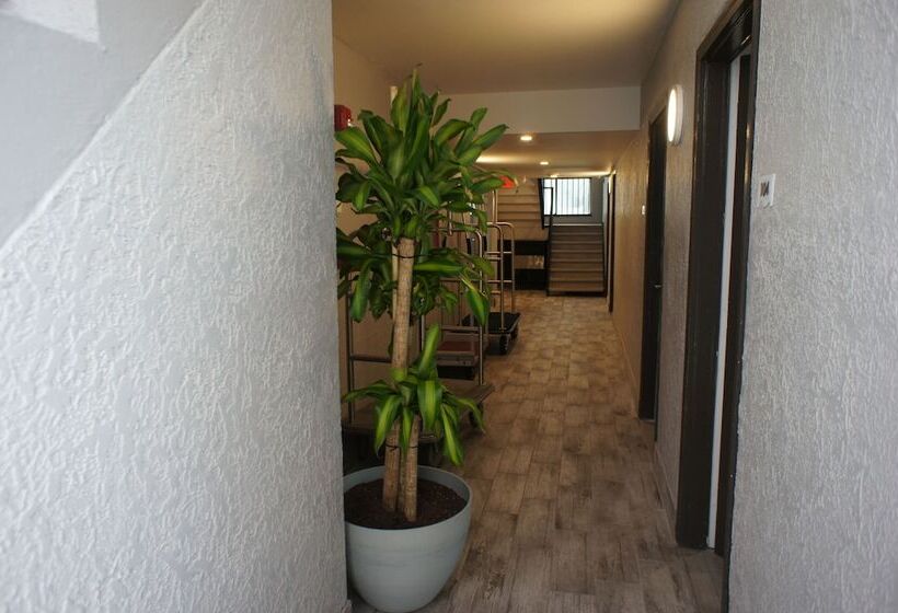 호텔 The Beverley Beach House