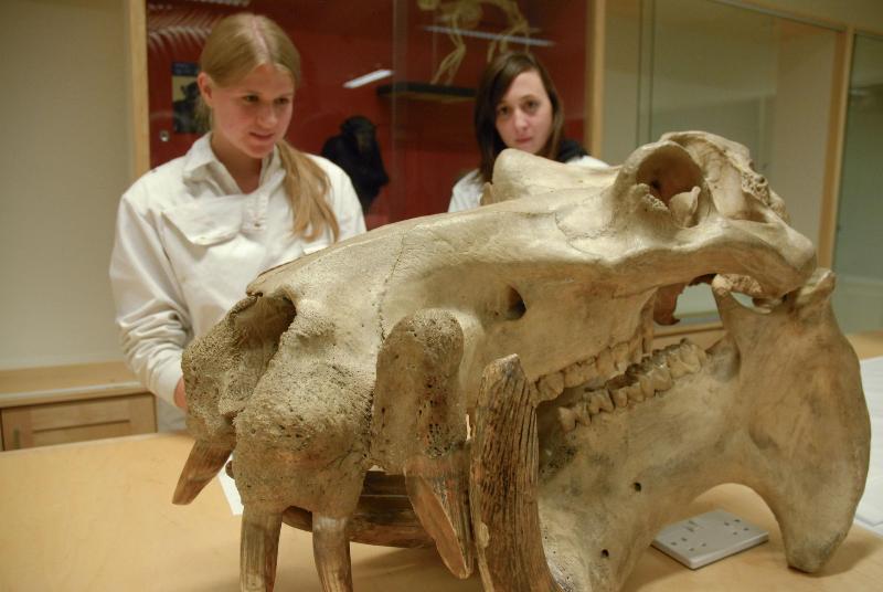 호텔 Trinity College Campus Accommodation