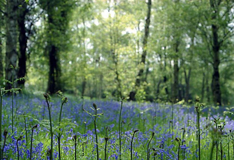 Отель Turing College University Of Kent