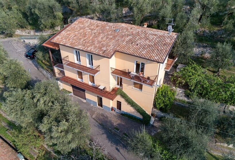 Отель Villa Olivo