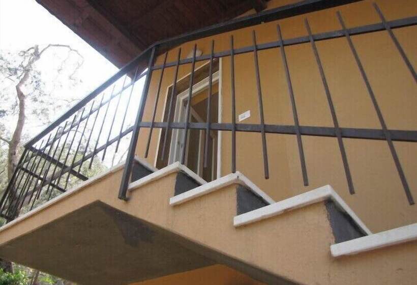 ホテル Villa Olivo