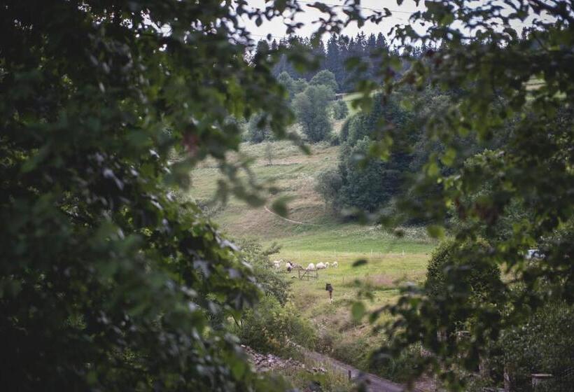 בית מלון כפרי Willa Lano