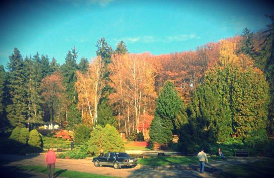 Kúpelný Hotel Palace