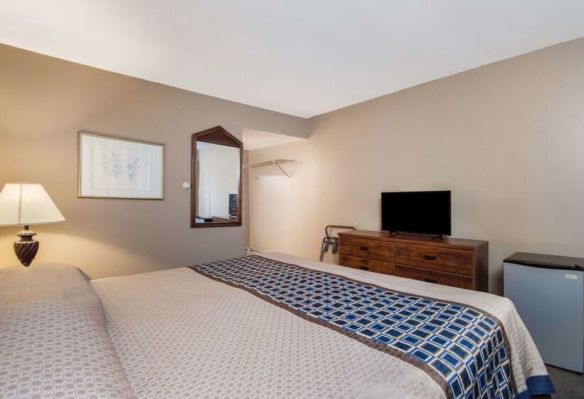 فندق على الطريق Knights Inn Amsterdam