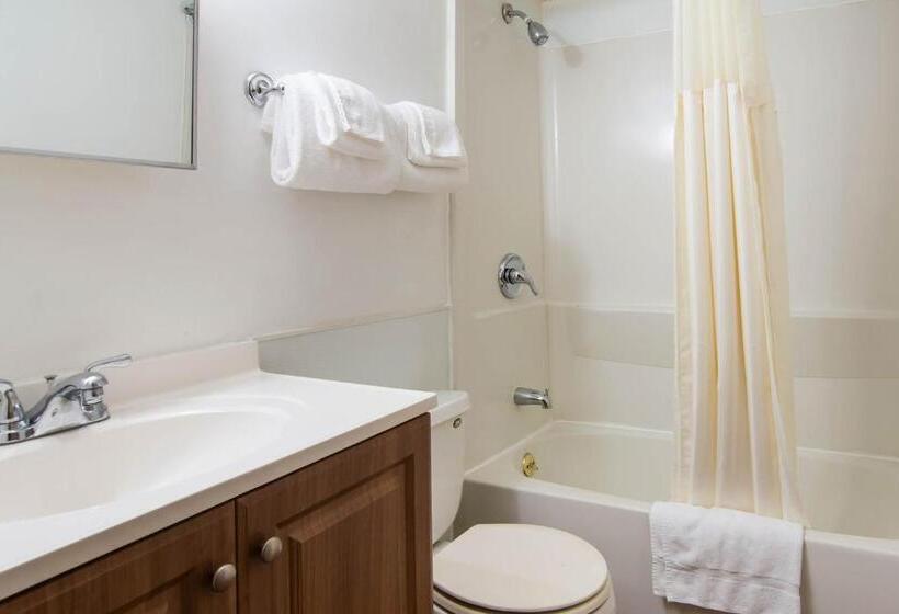 فندق على الطريق Knights Inn Amsterdam