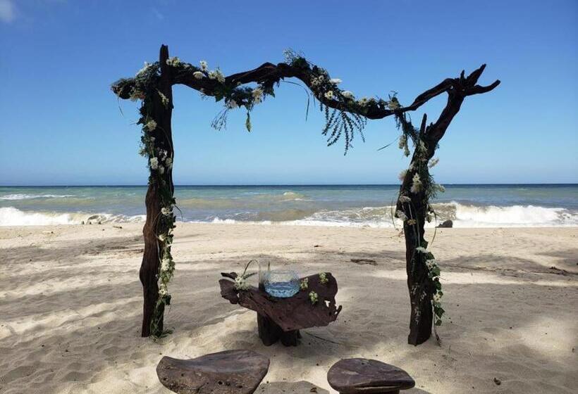 אתר נופש Sublime Ecohotel   Tayrona Palomino