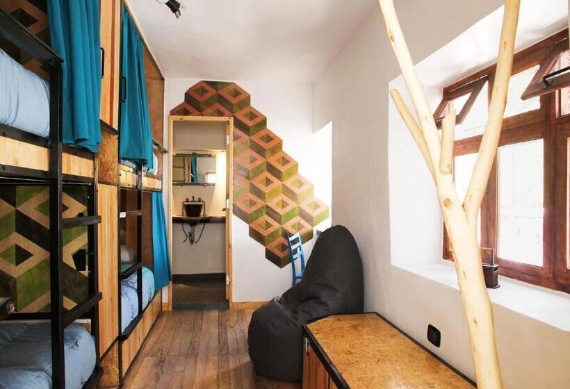 Supertramp Hostel Cusco