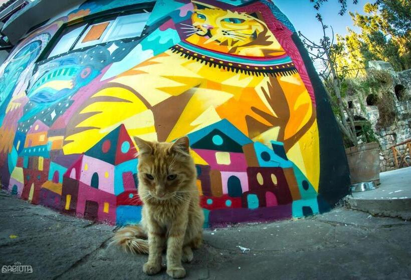 Supertramp Hostel Cusco