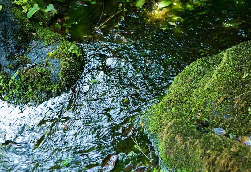 ريوكان Yugawara Manyoso