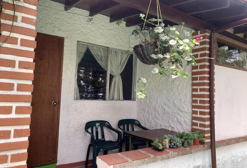 Al Bosque Hostel & Glamping