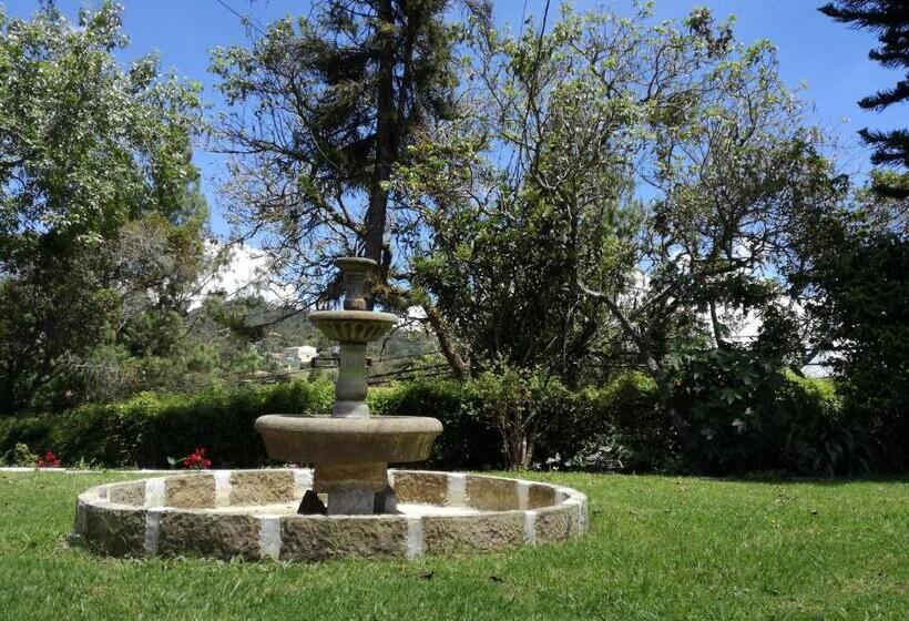 Al Bosque Hostel & Glamping