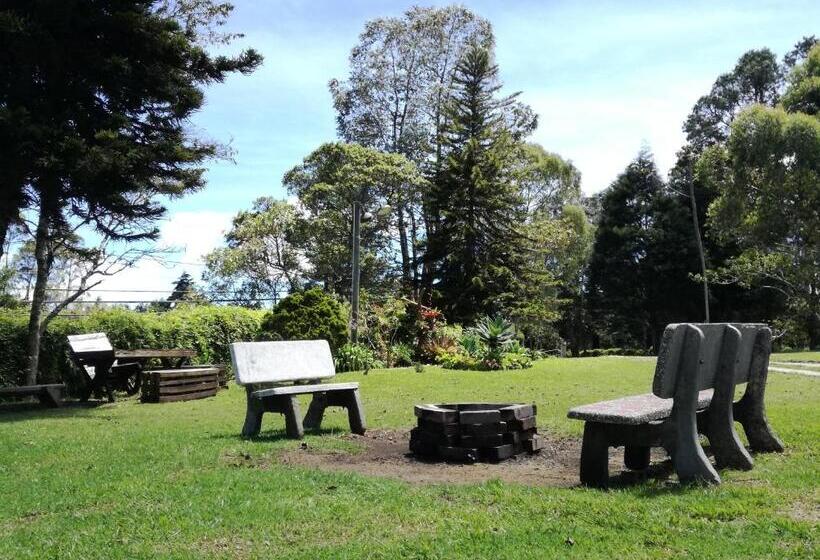 Al Bosque Hostel & Glamping