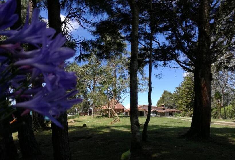 Al Bosque Hostel & Glamping