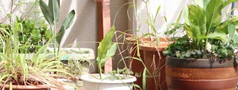 فندق صغير All Friends Guest House