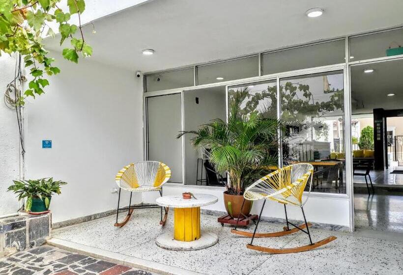 هاستل Bona Vida