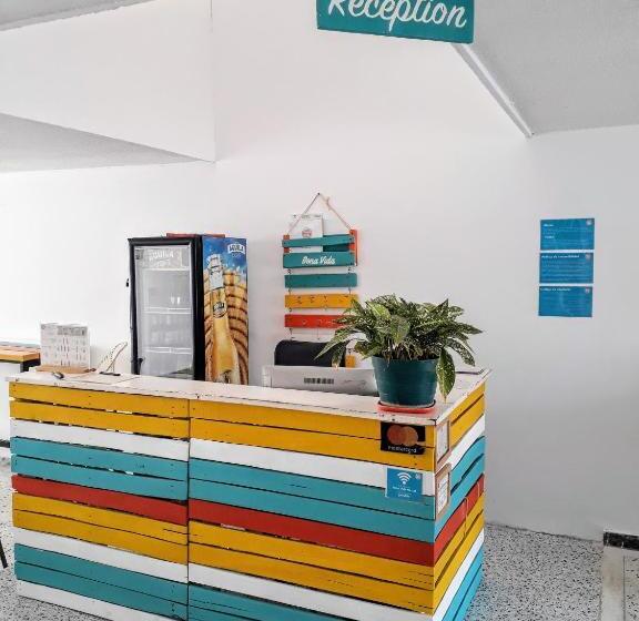 هاستل Bona Vida