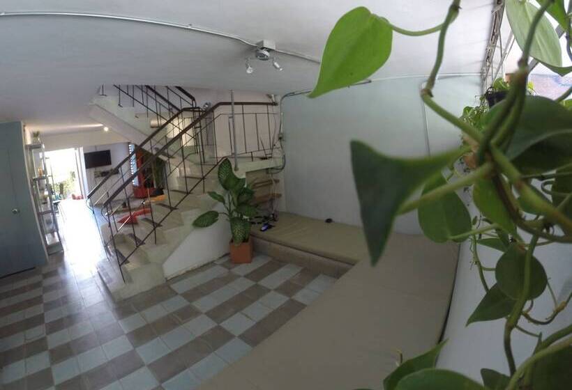 Casa Estacion Hostel