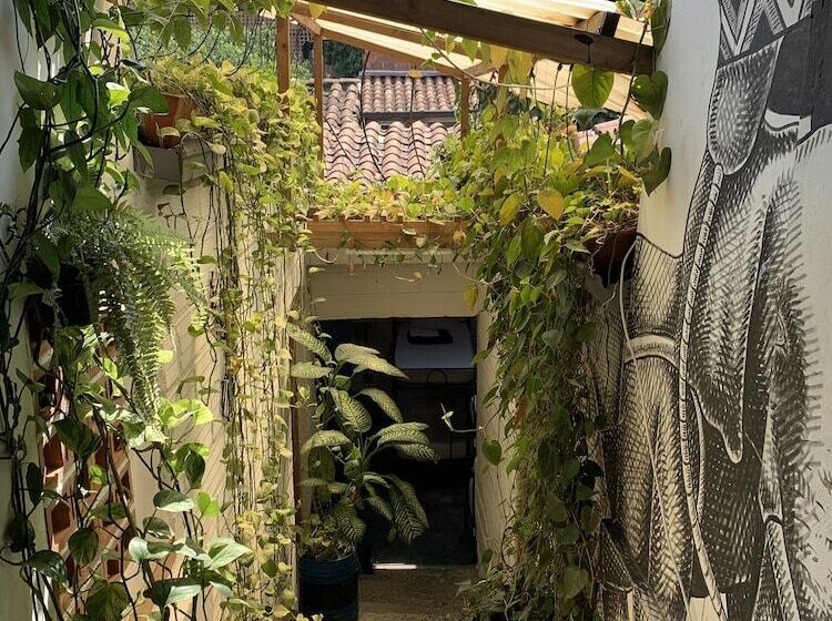 Casa Estacion Hostel