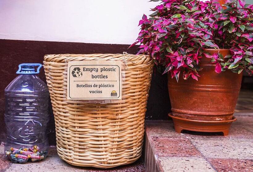 ユースホステル Eco Home View Guest House