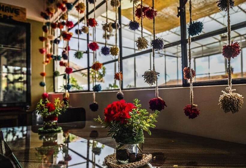 ユースホステル Eco Home View Guest House