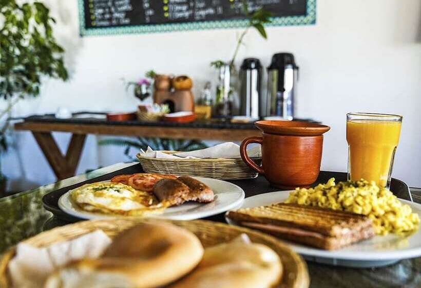 ユースホステル Eco Home View Guest House