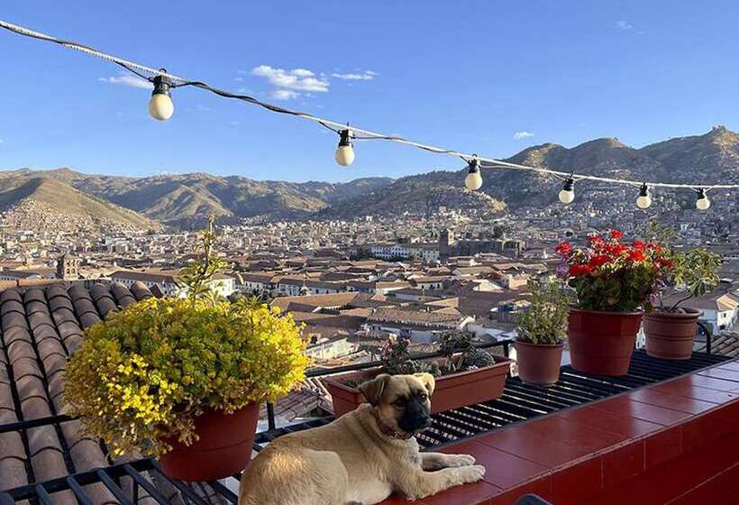 ユースホステル Eco Home View Guest House