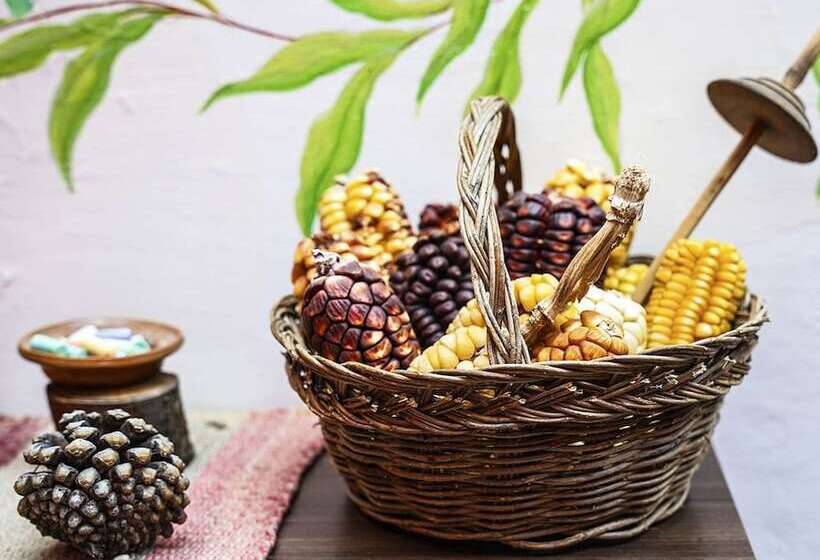 ユースホステル Eco Home View Guest House