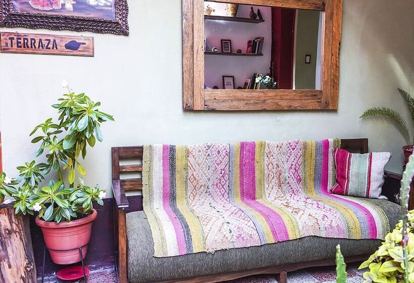 ユースホステル Eco Home View Guest House