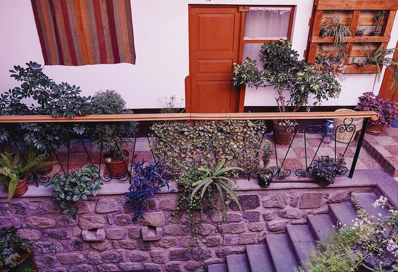 ユースホステル Eco Home View Guest House