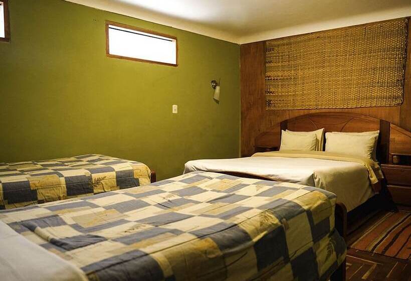 ユースホステル Eco Home View Guest House