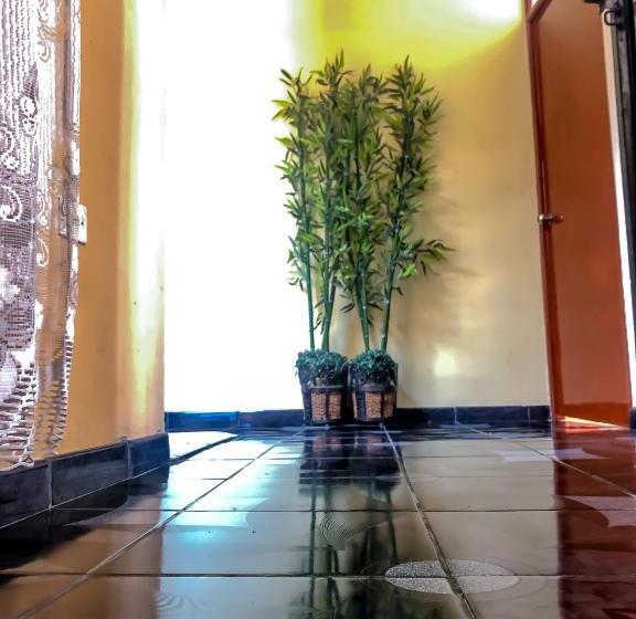 هاستل Hospedaje Familiar B&b Virma