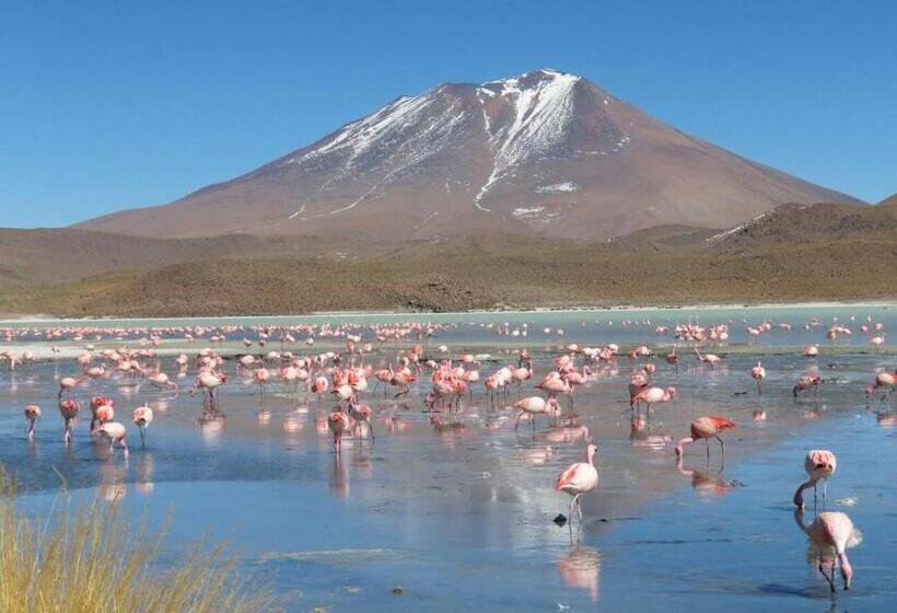 הוסטל Hostal Lluvia De Oro