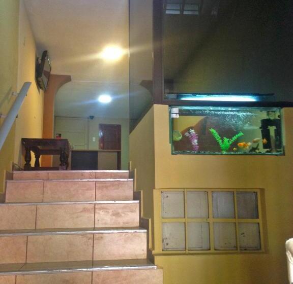 هاستل Hostal Sauna Tambo Wasi