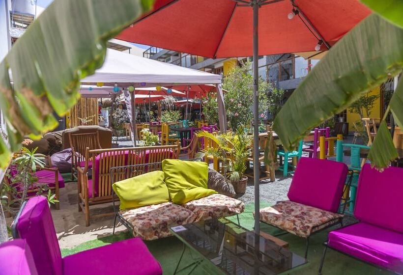 Banana S Adventure Hostel