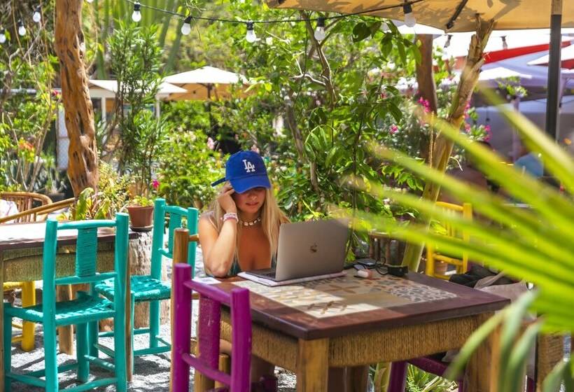 Banana S Adventure Hostel