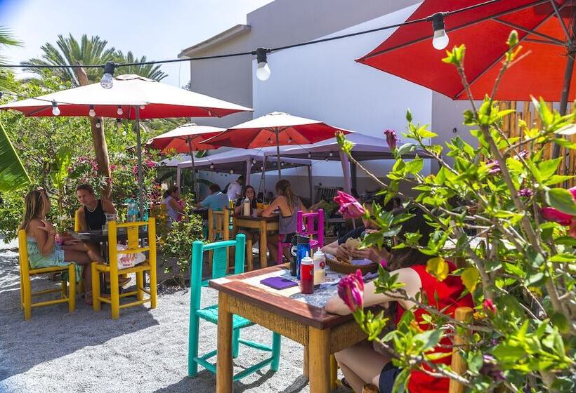 Banana S Adventure Hostel