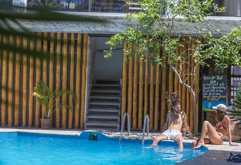 Banana S Adventure Hostel