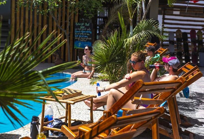 Banana S Adventure Hostel